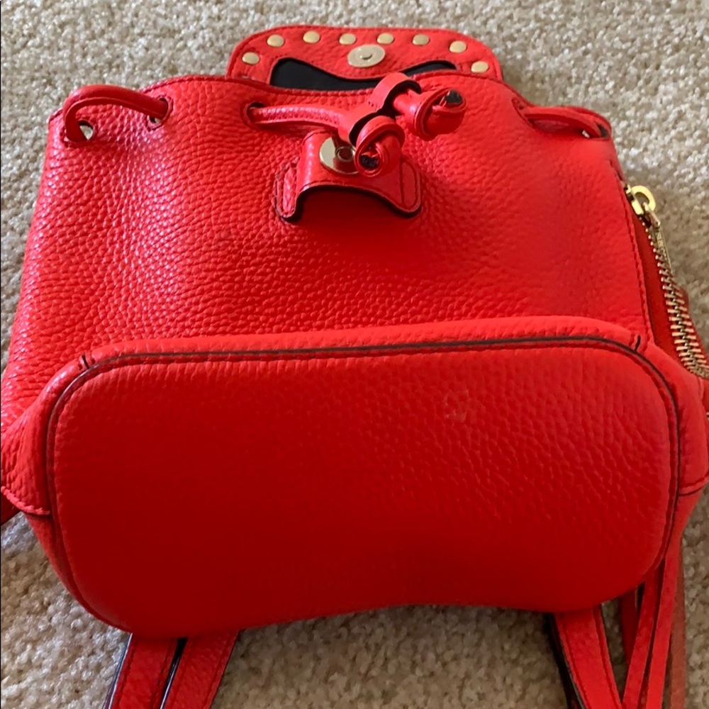 Backpack - Picture 4 of 4